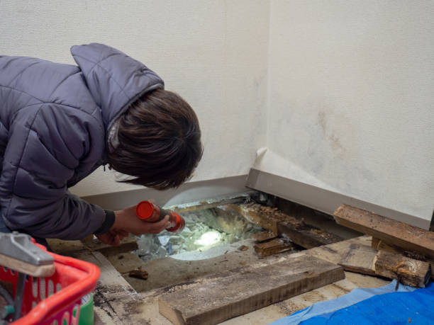 Best Crawl Space Mold Remediation  in Milford, OH