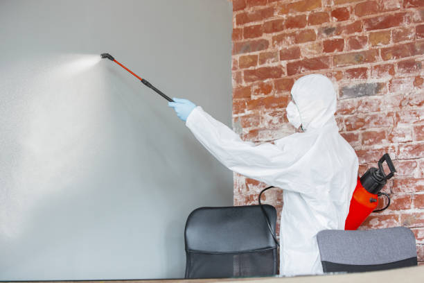 Forensic Mold Investigation in Milford, OH