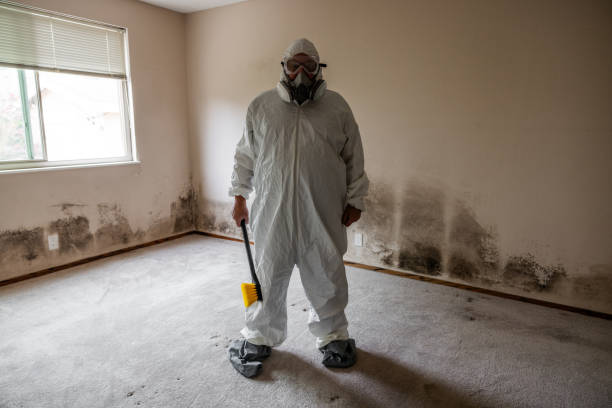 Best Black Mold Removal  in Milford, OH