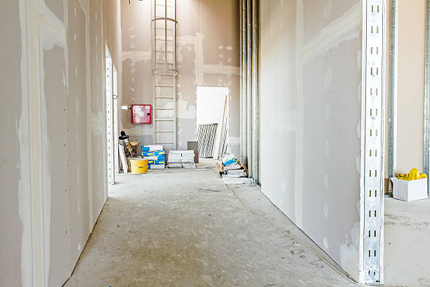 Best Industrial Mold Remediation  in Milford, OH